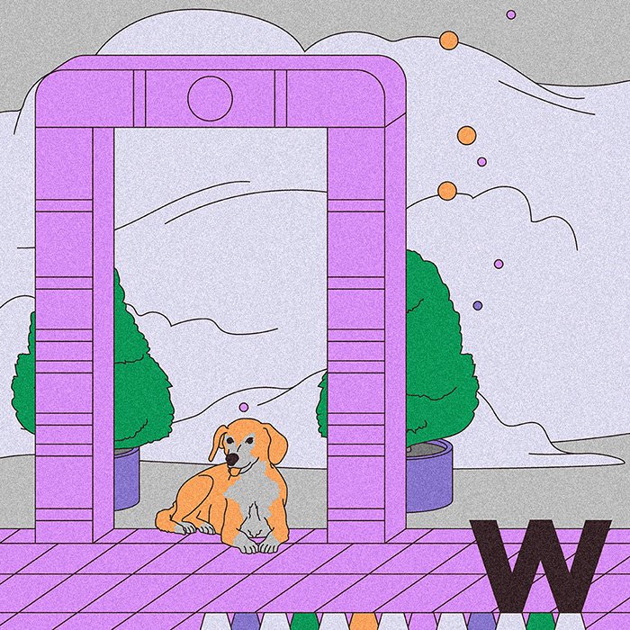 Creative Ways to Use a Random Album Generator to Fuel Your Imagination